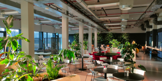 Open Kitchen Labs Restaurant