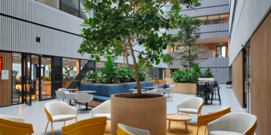 Open Kitchen Labs Atrium